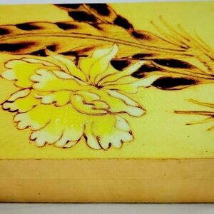Vintage Chinoiserie Box. With Feather  & Floral Design